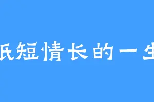 纸短情长的一生