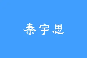 秦宇思