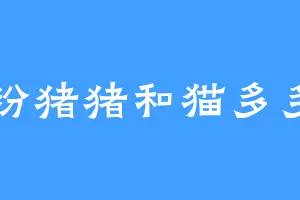 粉猪猪和猫多多