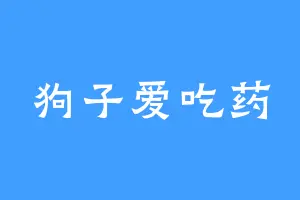 狗子爱吃药
