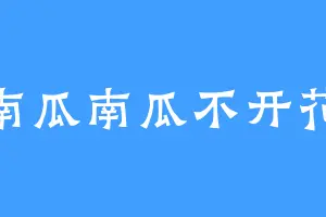 南瓜南瓜不开花