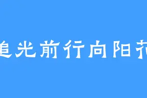 追光前行向阳花