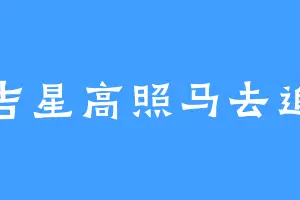 吉星高照马去追