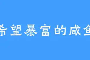 希望暴富的咸鱼