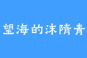 望海的沫隋青