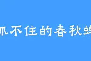 抓不住的春秋蝉